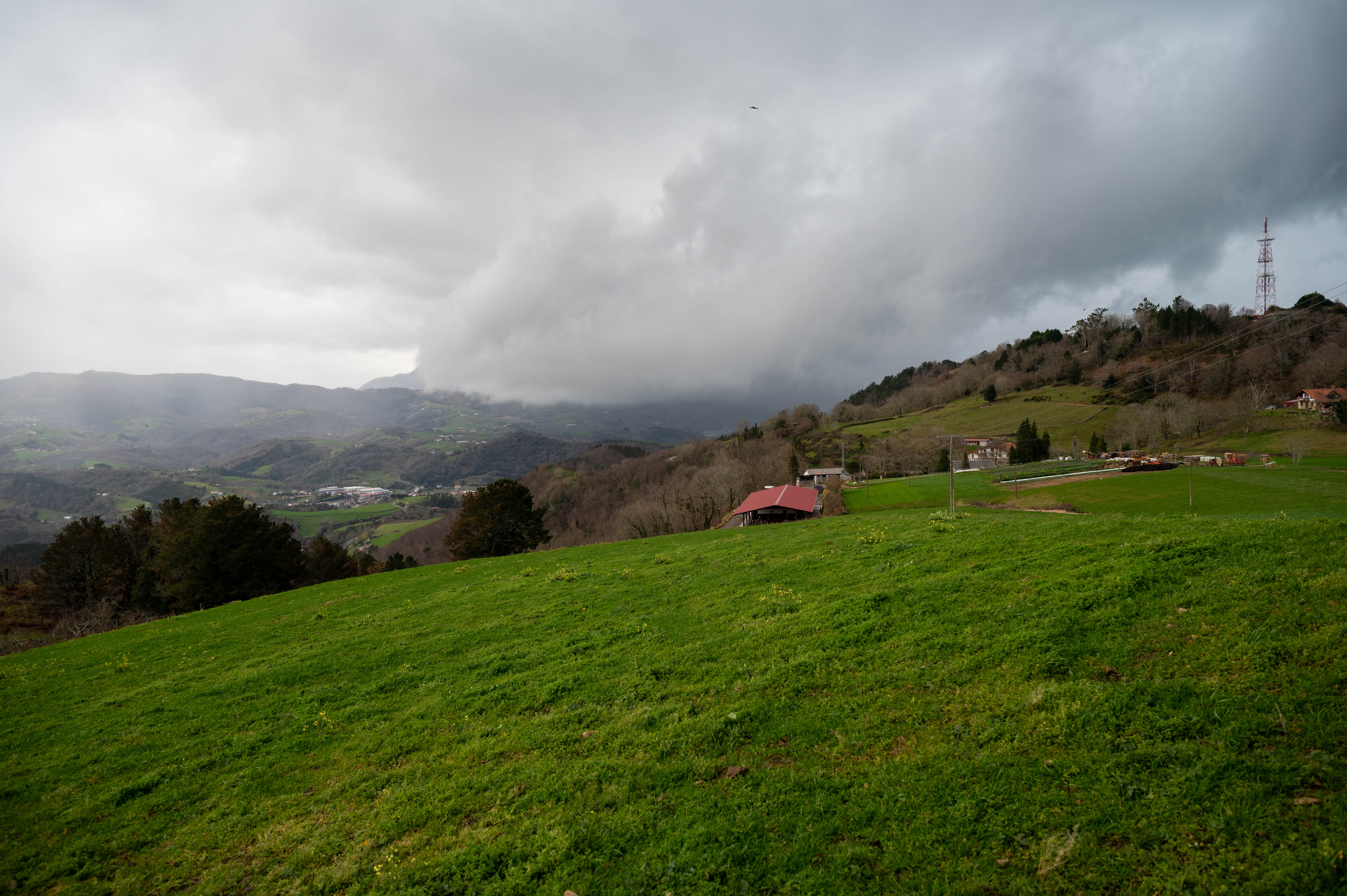 Prados verdes de Muniota Baserria en el Pais Vasco